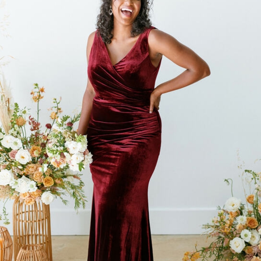 Reverly velvet dress